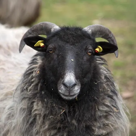 Landgasthaus Zur Eiche 2*