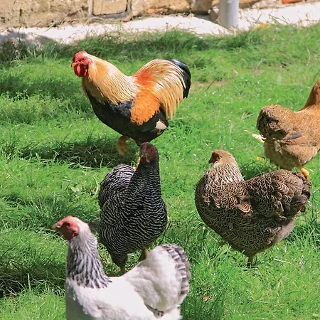 Penzion Landgasthaus Zur Eiche Elbe