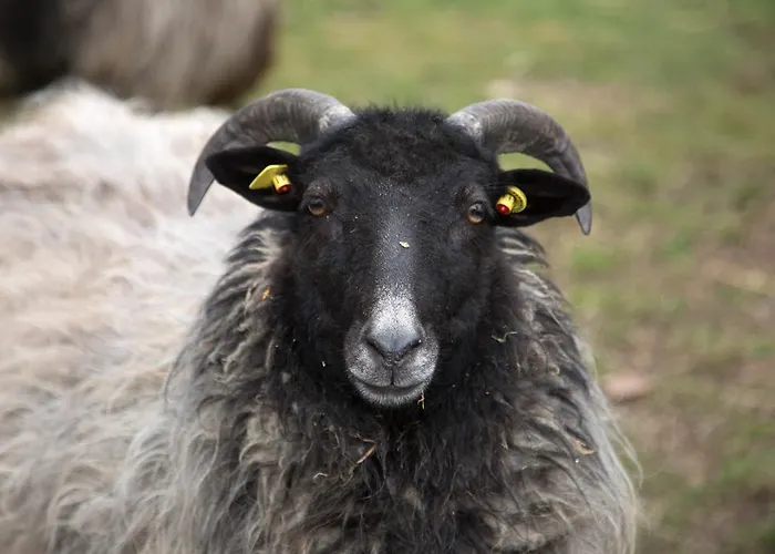 Landgasthaus Zur Eiche 2*