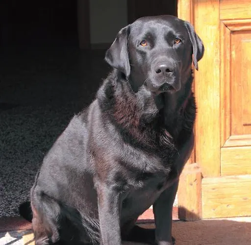 Landgasthaus Zur Eiche Гостевой дом 2*