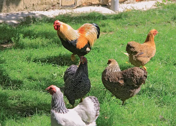 Гостевой дом Landgasthaus Zur Eiche Elbe