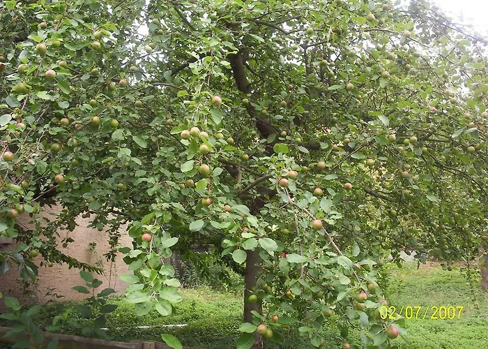 Landgasthaus Zur Eiche Гостевой дом Elbe